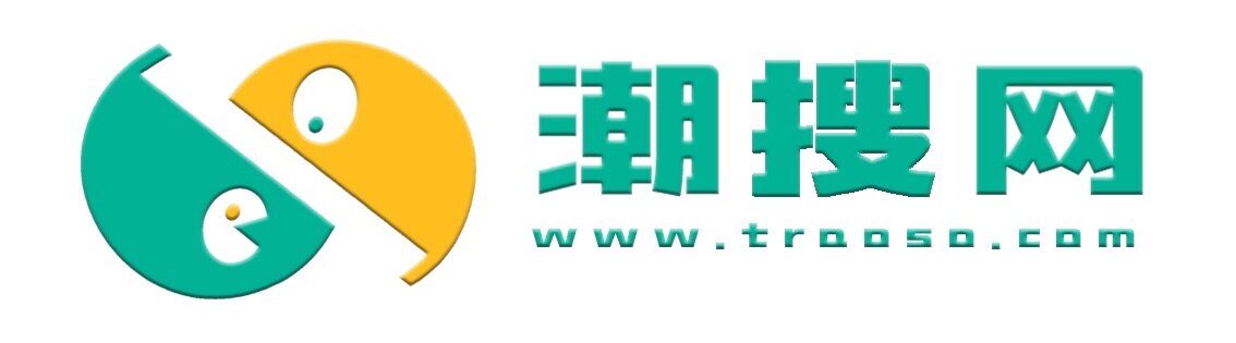 潮搜网logo-traoso
